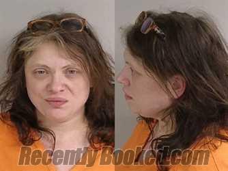 Recent Mugshot Image for STACEY PATRICIA BARNETT in Jackson County, Michigan