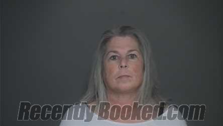 Recent Mugshot Image for DAWN PRIEST in Lapeer County, Michigan