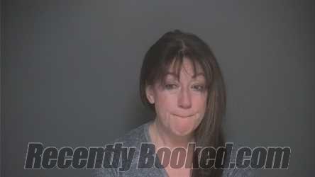 Recent Mugshot Image for KAROLYN BLANC in Lapeer County, Michigan