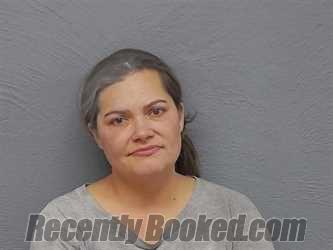 Recent Mugshot Image for SHEENA MICHELLE BURNSIDE in Mackinac County, Michigan