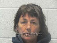 Recent Mugshot Image for Nancy Ann Bagwell in Polk County, North Carolina