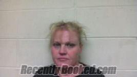 Recent Mugshot Image for Sabrina Renee Painter in Polk County, North Carolina