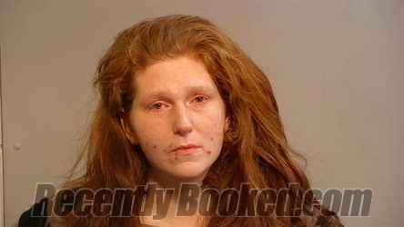 Recent Mugshot Image for Daniale Christine Mills in Marquette County, Michigan