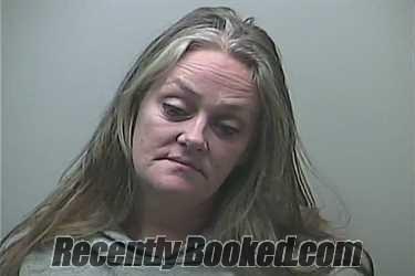 Recent Mugshot Image for HEATHER LYNN EMERY in Midland County, Michigan