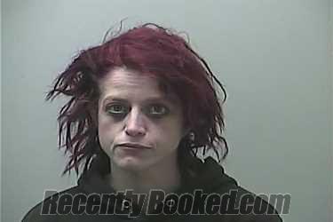 Recent Mugshot Image for TALESHA LYNN SHUMWAY in Midland County, Michigan