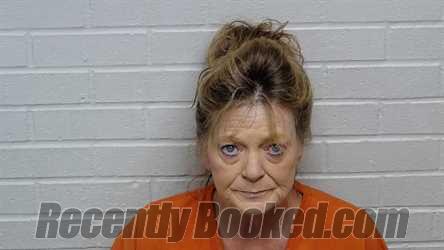 Recent Mugshot Image for DIANA DENISE  SIMMONS WILLARD in Richmond County, North Carolina