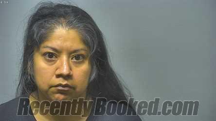 Recent Booking / Mugshot for ALEJANDRA AZUCENA VELASQUEZ in Saginaw