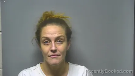 Recent Mugshot Image for NIKKI NIKOLE PRESSLER in Saginaw County, Michigan