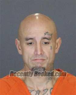 Recent Mugshot Image for JEREMY DUANE STAPLETON in St Clair County, Michigan