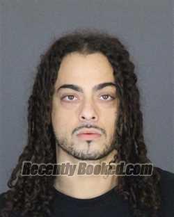 Recent Mugshot Image for REINALDO ENRIQUE MARTINEZ-ALVAREZ in St Clair County, Michigan