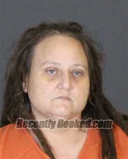 Recent Mugshot Image for ANNE THERESE LYONS in St Clair County, Michigan