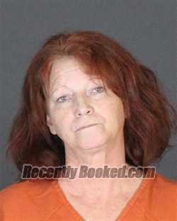 Recent Mugshot Image for JENEEN ELAINE HICKS in St Clair County, Michigan
