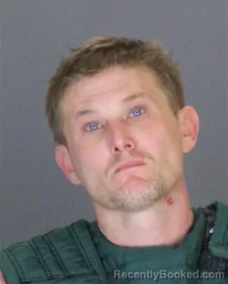Recent Mugshot Image for BRIAN FRANK ADAMS in St Clair County, Michigan