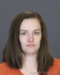 Recent Mugshot Image for BRANDIE NICHOLE SCHULKE in St Clair County, Michigan