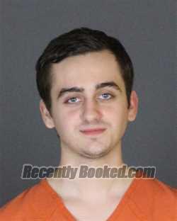 Recent Mugshot Image for MICHAEL JUAN CASTILLO in St Clair County, Michigan