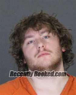 Recent Mugshot Image for LUCAS DEAN MITCHELL in St Clair County, Michigan