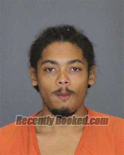 Recent Mugshot Image for VINCENT ARNOLD HANER in St Clair County, Michigan