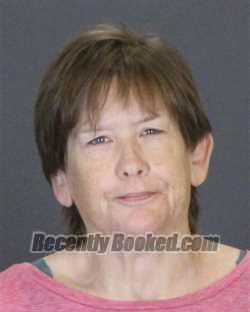 Recent Mugshot Image for JENNIFER LOUISE JEHL in St Clair County, Michigan