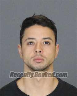 Recent Mugshot Image for LUIS CONTRERAS-PENA in St Clair County, Michigan