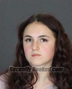 Recent Mugshot Image for LIBBY MARIE WHITEHEAD in St Clair County, Michigan