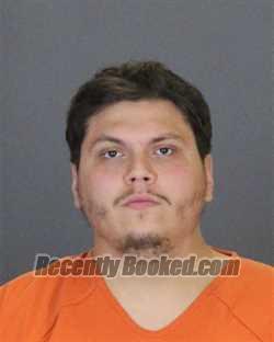 Recent Mugshot Image for ARMIN BERBEROVIC in St Clair County, Michigan