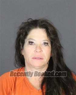 Recent Mugshot Image for KIMBERLY JEAN ECARIUS in St Clair County, Michigan