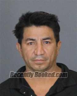 Recent Mugshot Image for ANGEL AVALO TALENO in St Clair County, Michigan