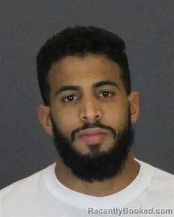 Recent Mugshot Image for MOHAMED AHMED EL MOUSTAPH in St Clair County, Michigan