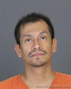 Recent Mugshot Image for CESAR ALEJANDRO MATA-CASTILLO in St Clair County, Michigan