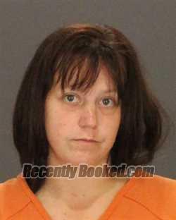 Recent Booking / Mugshot for ERICA MARIE LORIA in St Clair County, Michigan