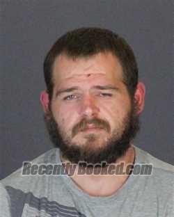 Recent Booking / Mugshot for DOUGLAS DAVID BRACE in St Clair County