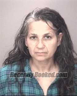 Recent Mugshot Image for MICHELLE HARDIN in Robeson County, North Carolina