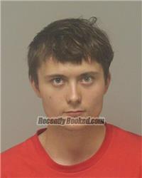 Recent Mugshot Image for DOMINIC DANIEL STEGORA-JOHNSON in Anoka County, Minnesota