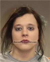 Recent Mugshot Image for DYLAN ALEXANDER DOMINO in Anoka County, Minnesota