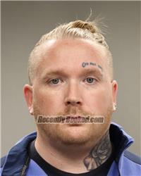 Recent Mugshot Image for ANDREW MORGAN LEE in Anoka County, Minnesota