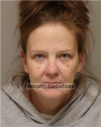 Recent Mugshot Image for MELISSA ANN LUND in Anoka County, Minnesota