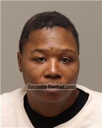 Recent Mugshot Image for TAMIKA SHAWNTA GARDNER in Anoka County, Minnesota