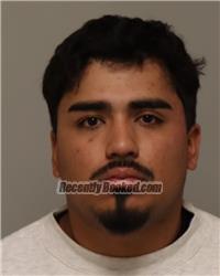 Recent Mugshot Image for MICHAEL STEVEN SEGURA NUNEZ in Anoka County, Minnesota