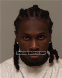 Recent Mugshot Image for JAMES EARL OTTOW ODEL CHAMPION in Anoka County, Minnesota