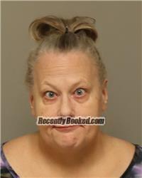 Recent Mugshot Image for SHANNON MARIE HOLTER in Anoka County, Minnesota