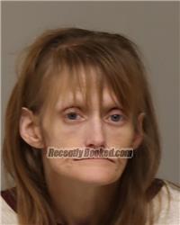 Recent Mugshot Image for ALISHA MAY SMOTER in Anoka County, Minnesota