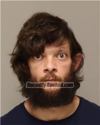 Recent Mugshot Image for ARISTOTLE CORTLAND GOUMAS in Anoka County, Minnesota