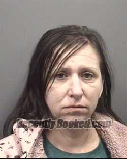 Recent Mugshot Image for DENELLE MAE LAIL in Rowan County, North Carolina