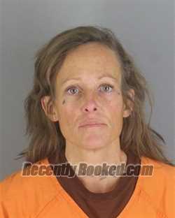 Recent Mugshot Image for DAWN MARIE FELT in Hennepin County, Minnesota