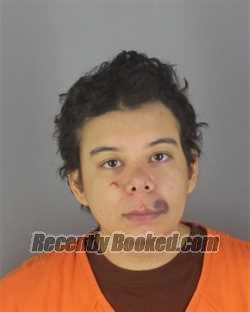Recent Mugshot Image for KIANA ESSENCE TATUM in Hennepin County, Minnesota