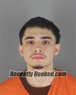 Recent Mugshot Image for LUIS FERNANDO SOSA BURGARA in Hennepin County, Minnesota