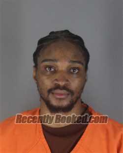 Recent Mugshot Image for DEMARGIO DUPREE TOWNS in Hennepin County, Minnesota