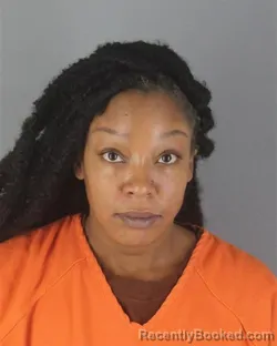 Recent Mugshot Image for JENNIFER EDEN STEWART in Hennepin County, Minnesota