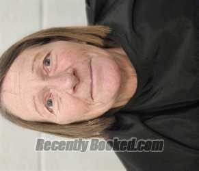 Recent Mugshot Image for TERESA MARIE JOHNSON in Rutherford County, North Carolina