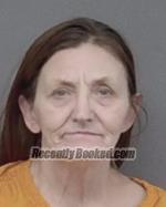 Recent Mugshot Image for Tanya Lee Vanreese in Isanti County, Minnesota